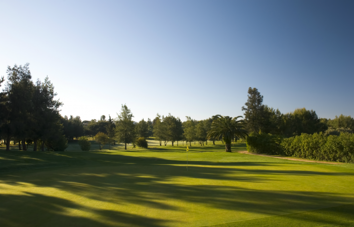 Green with yellow flagstick in the Alto Golf Course