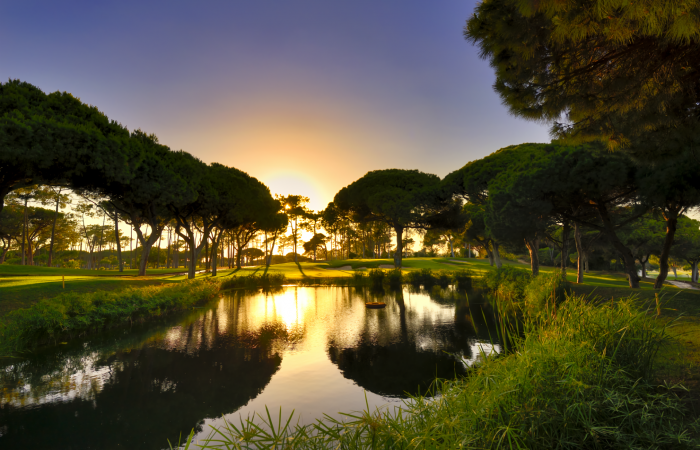 Lake in the Dom Pedro Old Course
