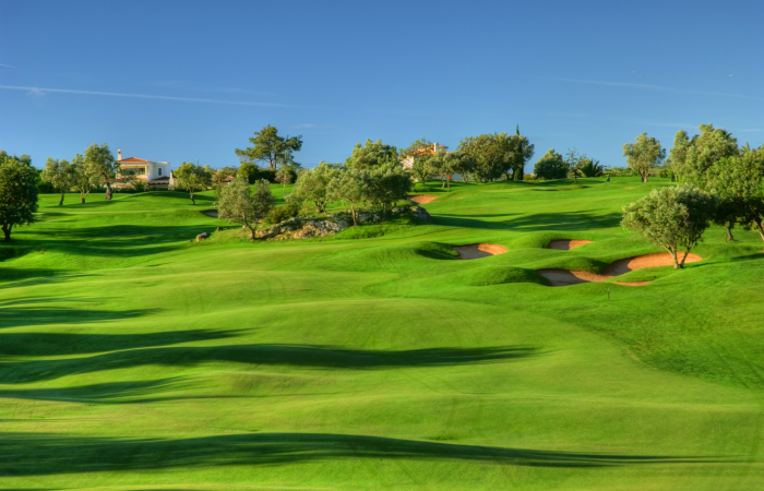 Fairway in the Gramacho Golf Course