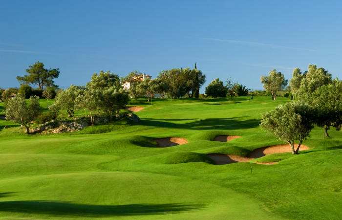 Gramacho Golf Course surrounded by olive trees and bunkers