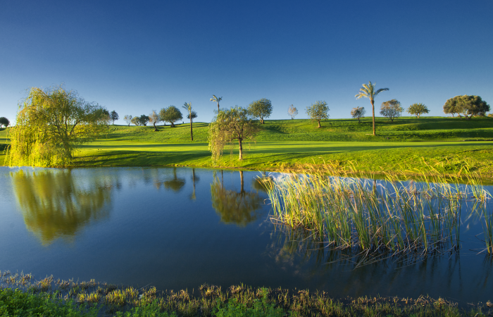 Lake in the Gramacho Golf Course