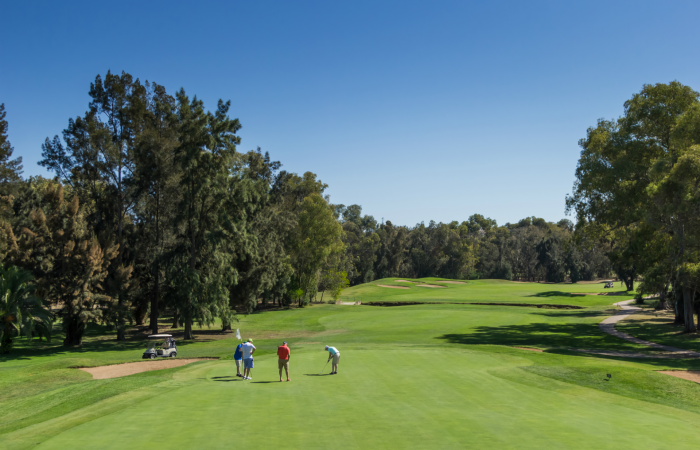 Four men in the green of Penina Golf Course