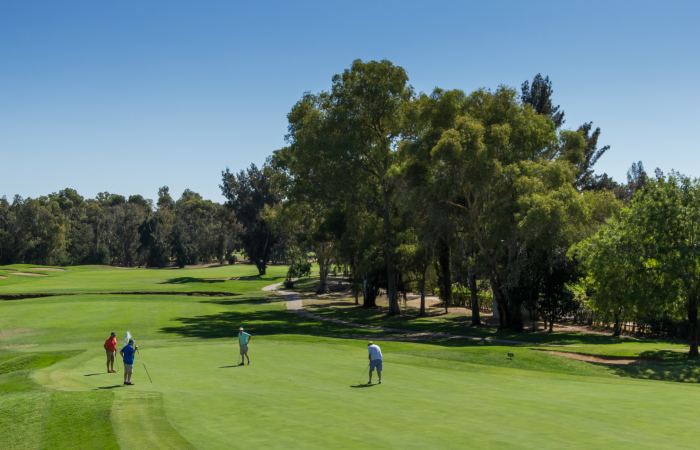 Four men in the Penina course green