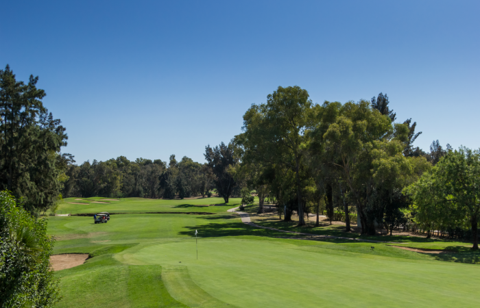 Green of the Penina Golf course