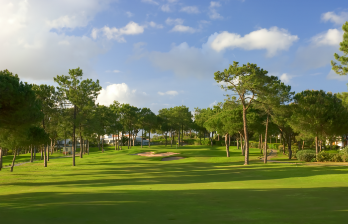 Green between the pine trees in the Pinheiros Altos Golf Course