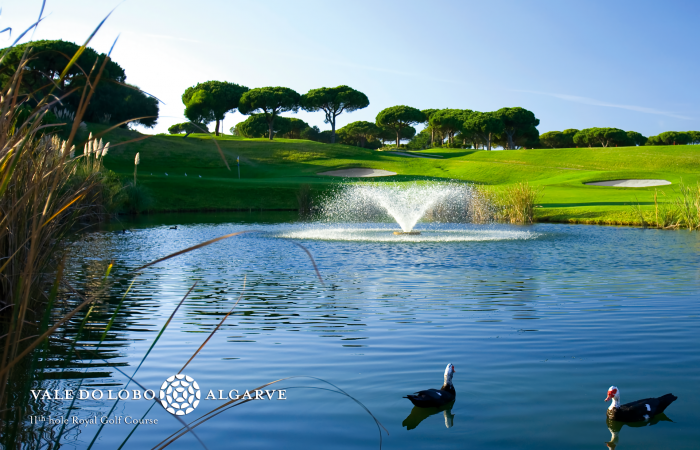 Small lake with two ducks in Vale do Lobo Royal Golf Course
