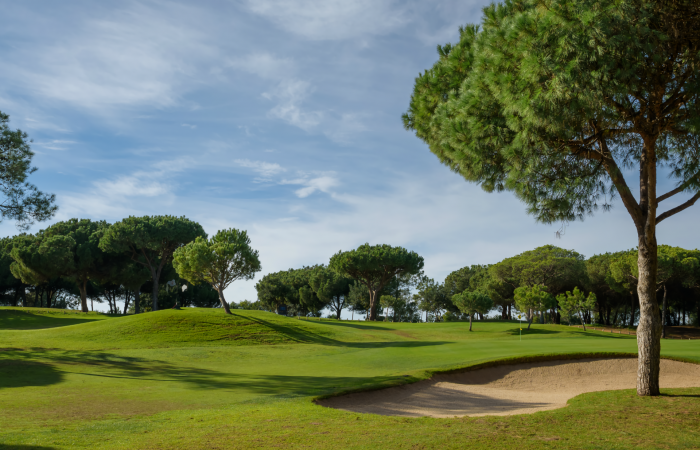 Vila Sol Golf Course with bunker and pine trees
