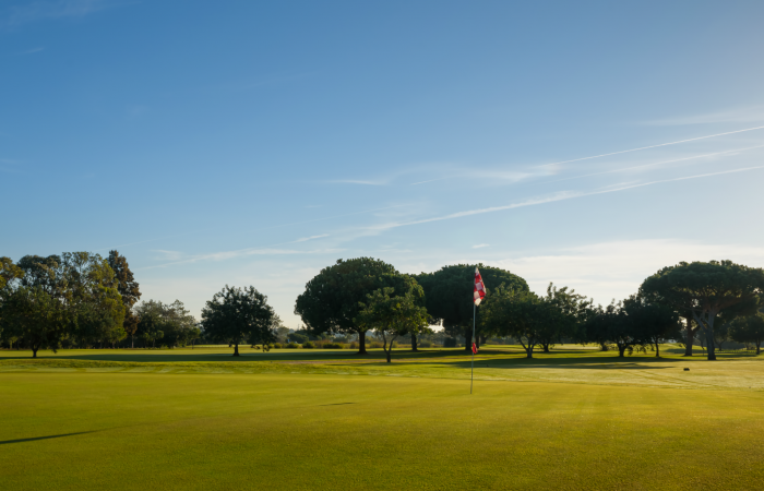 Green surrounded by trees in the Vila Sol Golf Course